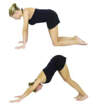 yoga poses: downward dog