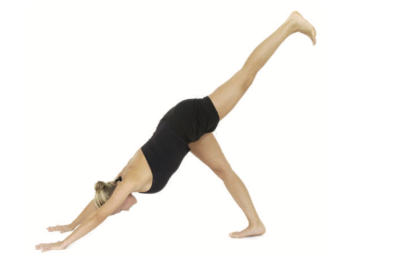 Downward-Facing Dog (Adho Mukha Svanasana)<br />
